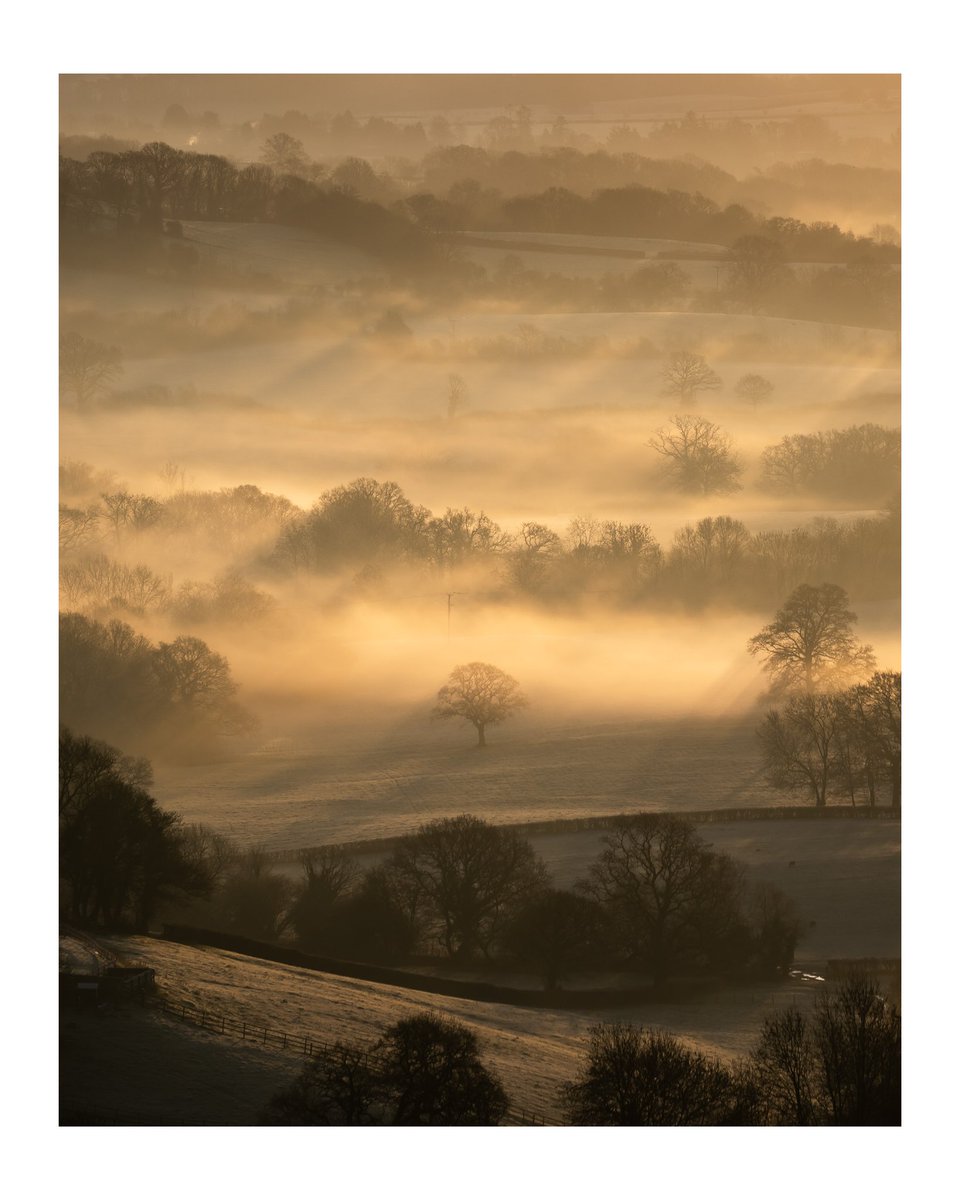 Sam Binding tweet media