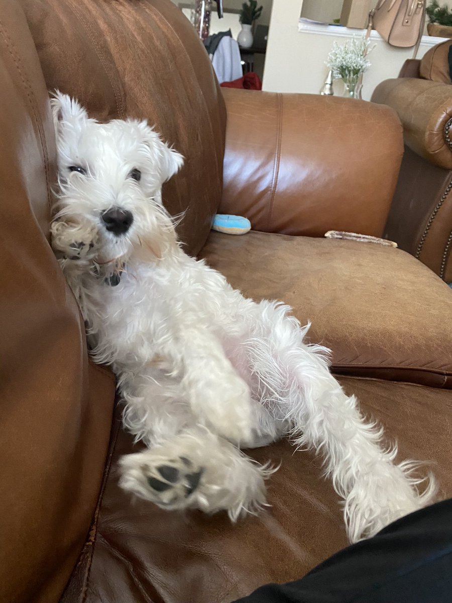 Lm_Ripper tweet media