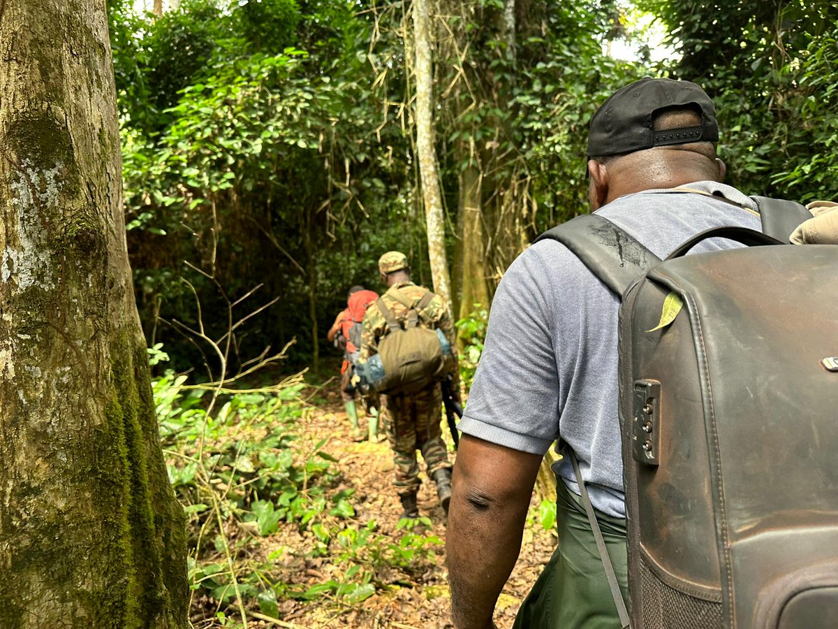 Blending art and adventure, trekking in Lobéké National Park to find rare flora and fauna, including endangered species in their own environment.

You can join! Become part of this conservation community and have a chance to win a conservation expedition. #conservation #trekking
