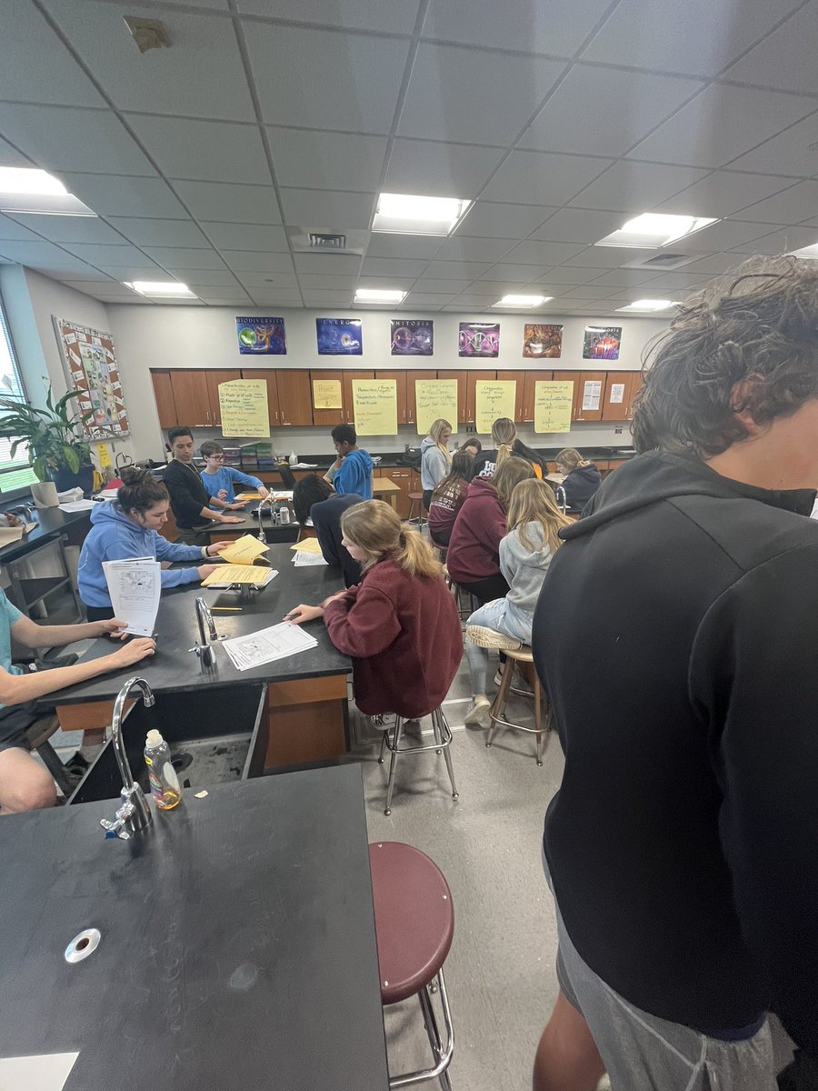 GAHS Maroon & White 2023 tweet media