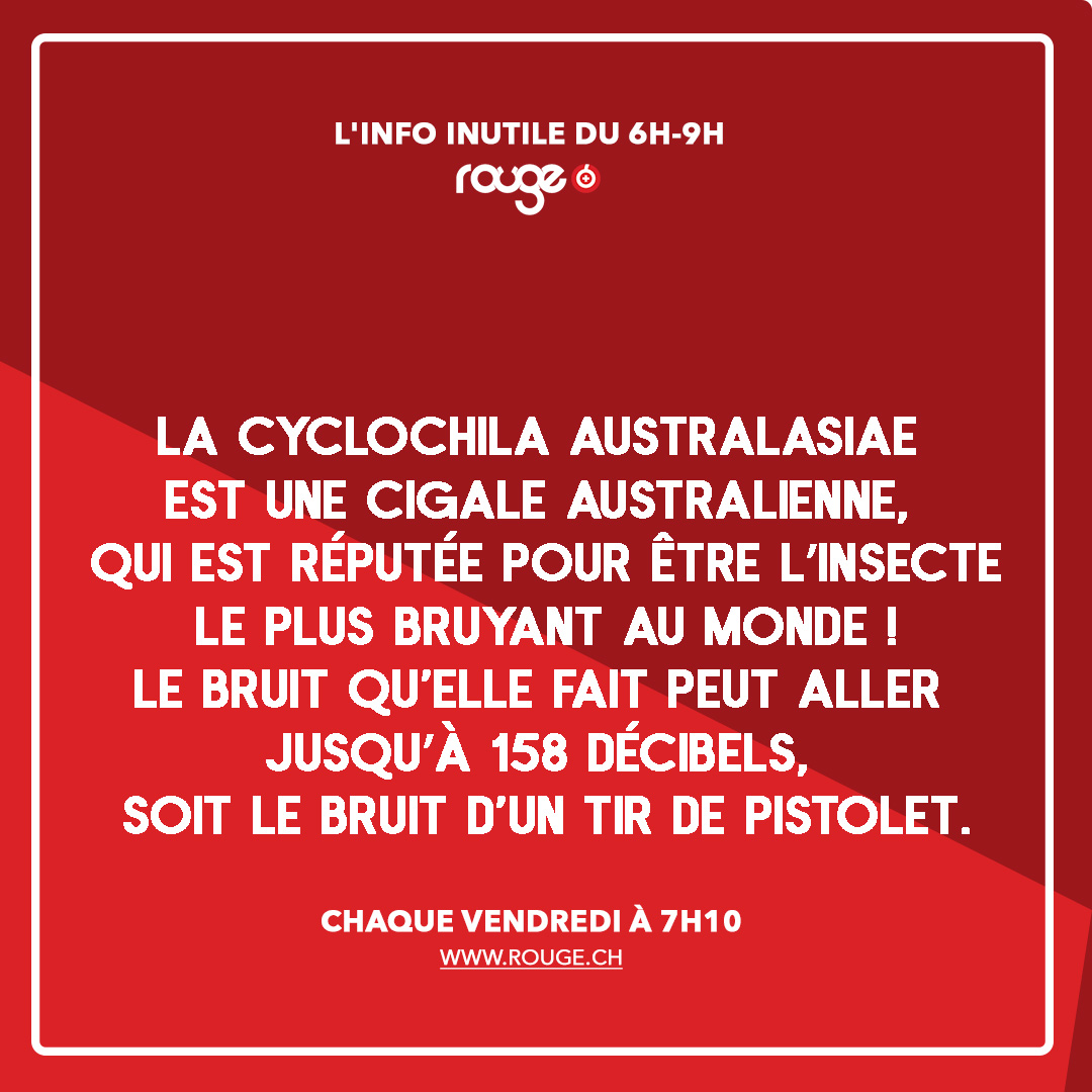rougefm's tweet photo. #INFOINUTILE 👍 Rendez-vous demain à 7h10 pour la prochaine info inutile du 6H-9H de Rouge.
#rougefm #info #humour https://t.co/jfUXi0hmYl