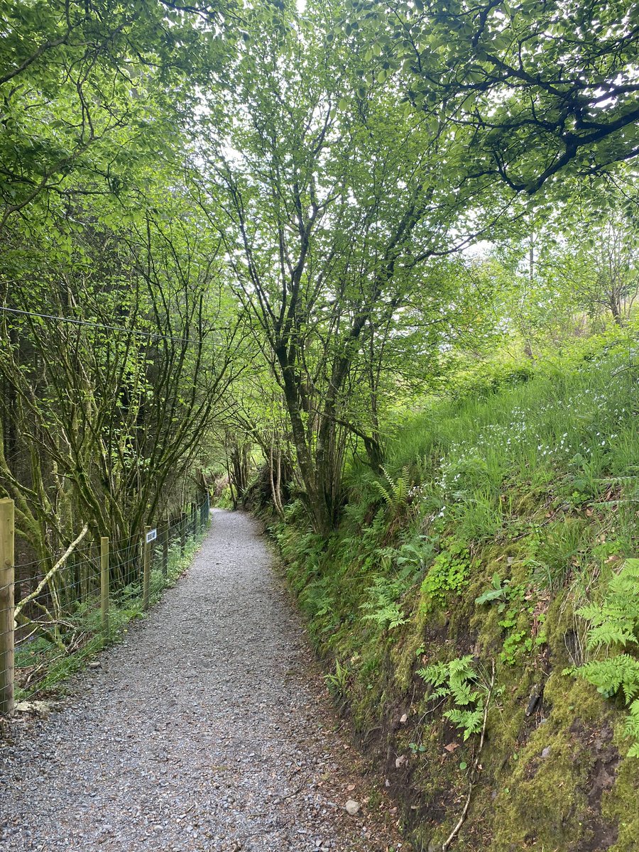 jackiemcguin's tweet photo. Day 1599 of #1600daysofwalking Fantastic, activity filled day in @Toddsleap_com Giant swing, off road driving, archery, zip lining and bungee running. Great end of year fun. Many thanks to the wonderful staff. Everyone friendly and kind. https://t.co/tVwqxosFLT