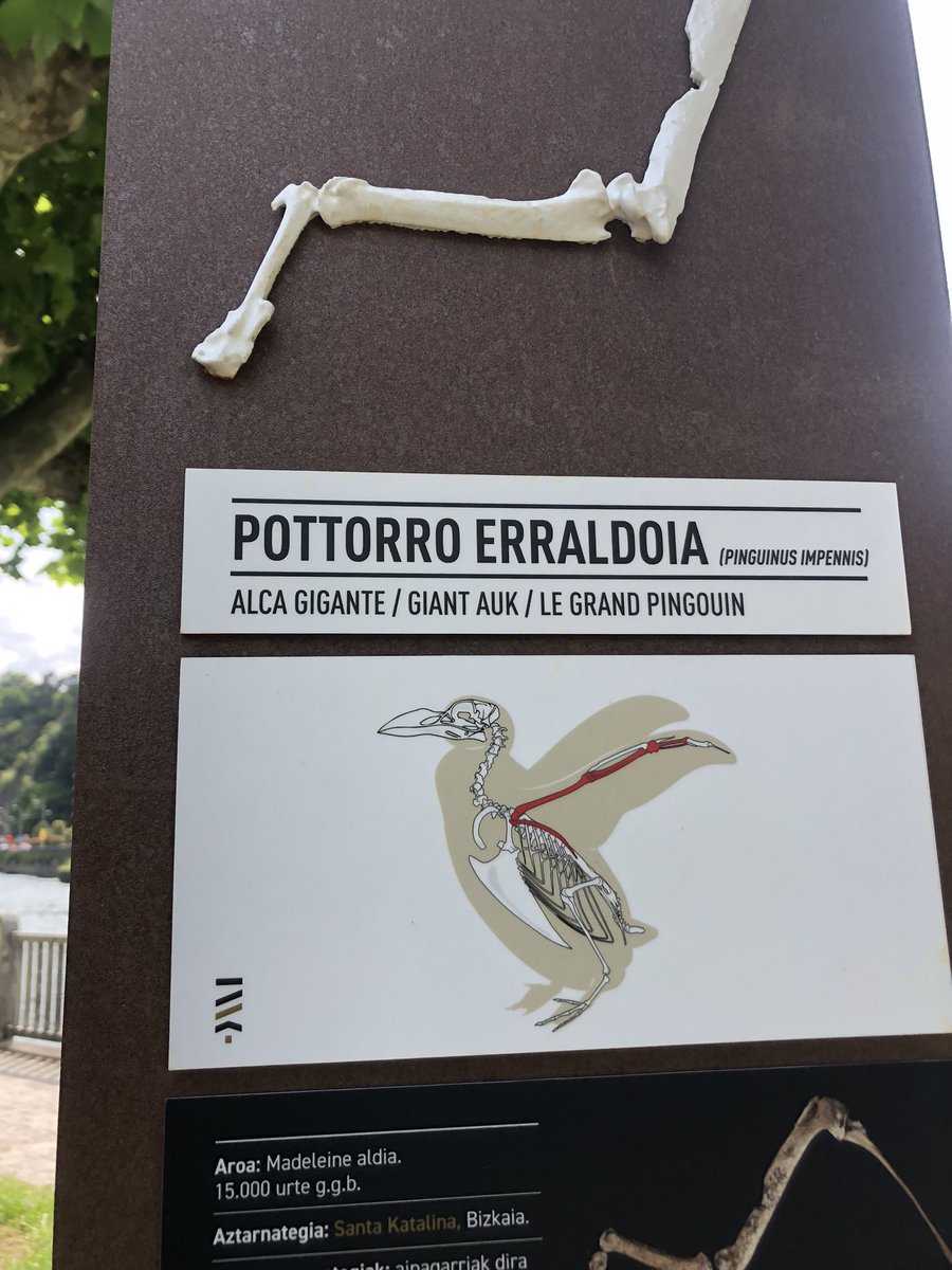 izarrou_'s tweet photo. potorro erraldoia nerie https://t.co/H332anMOeH