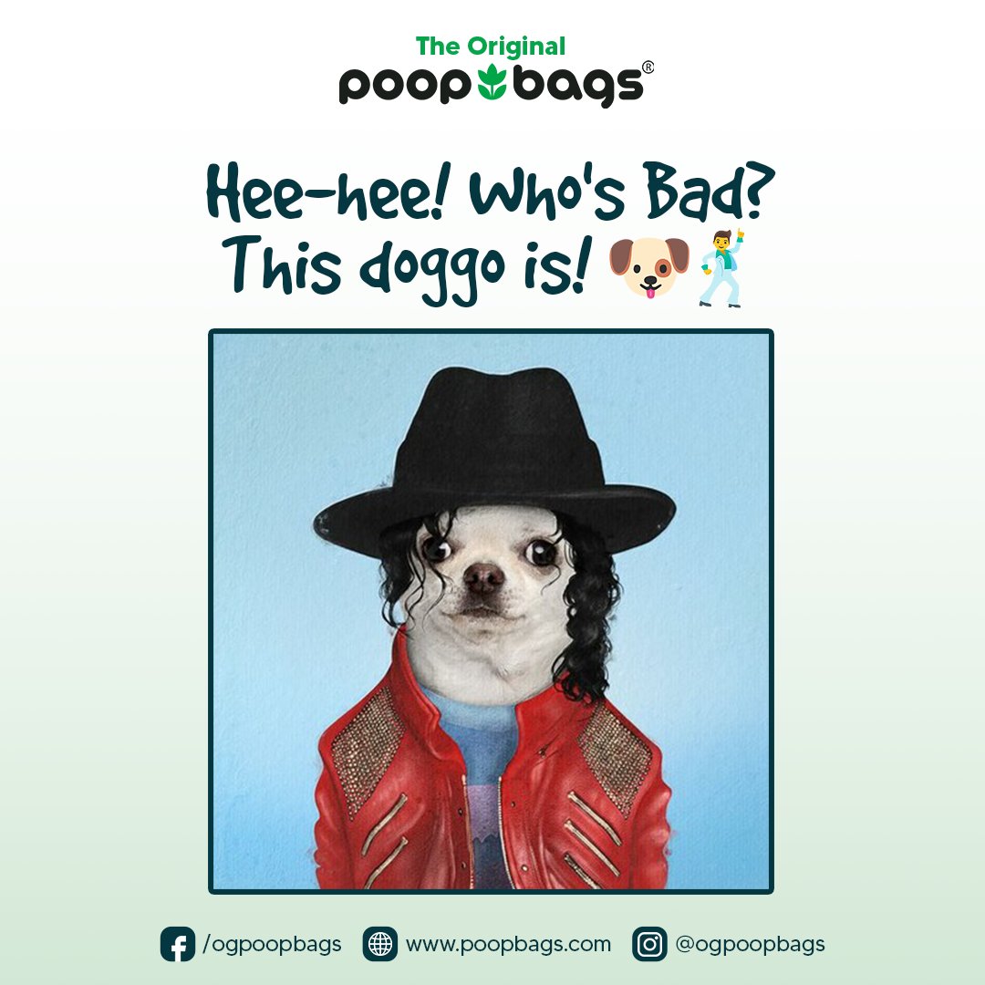 Guess who... Michael Jackdog in the house! 🕺😂
#poopbags #theoriginalpoopbags #dogdaily #dogmemes #dogcostume #dogcomedy #dogmeme #dogmemesdaily #dogloversunite #doglover