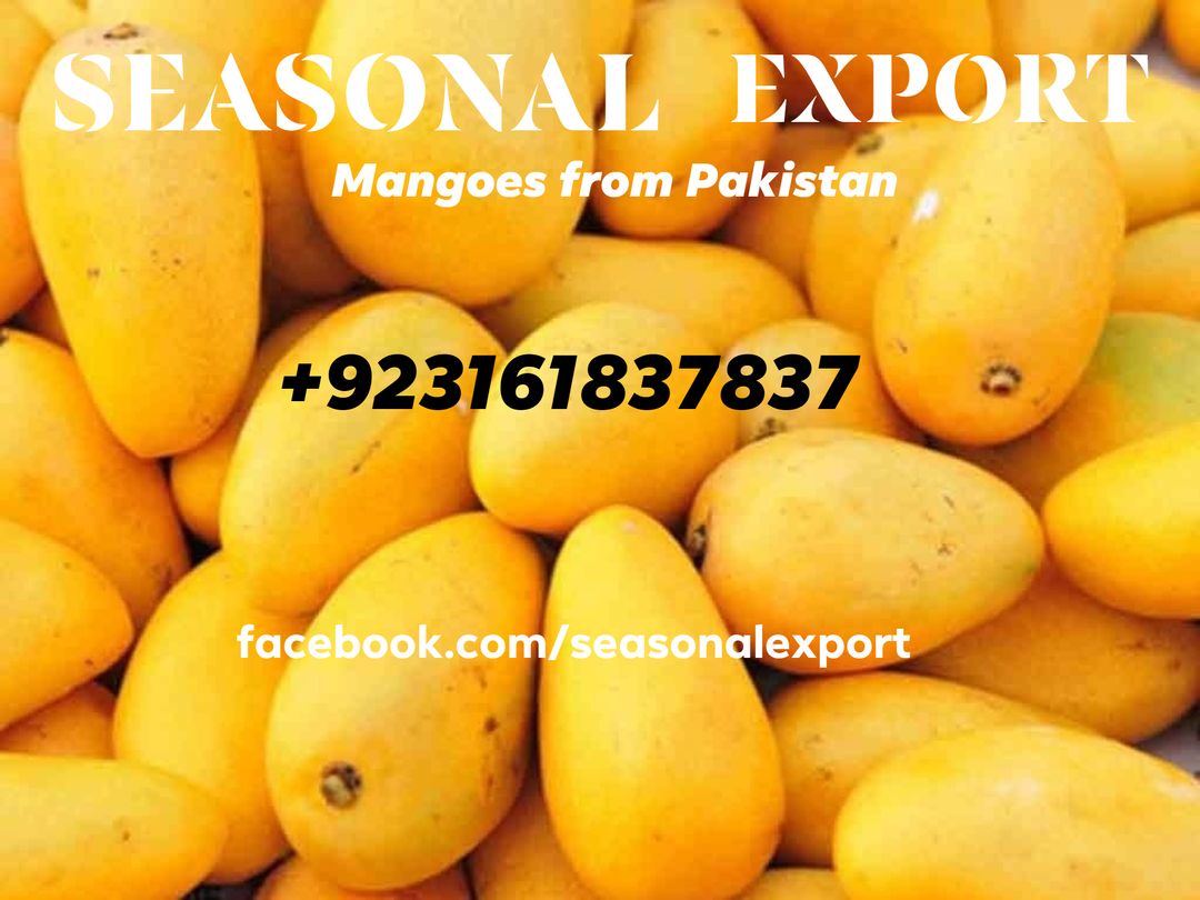 MANGOES +923161837837
#mango #mangoes #fruits #fruitexport #kingoffruits #fibercastpk #frpinstitute #frckhi #gfrcpk #zameen2ghar #seasonalexport #seasonalfresh #mangoseason #mangocake #mangopickle #mangoshake #grcpakistan #chaunsa #anwarratol #mangolassi #superfoods #organicfruit