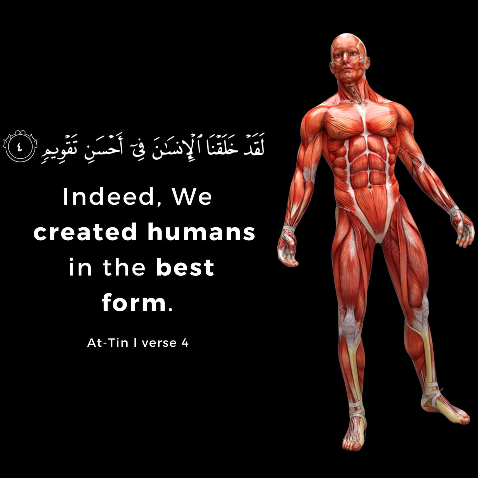 Picture Of Allah Human Form
