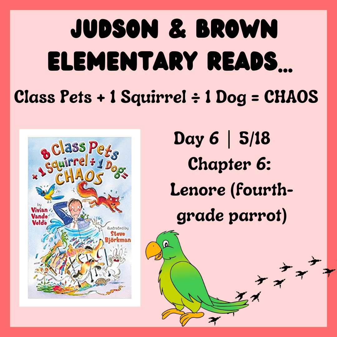 Tonight’s read, chapter 6 | Lenore (fourth-grade parrot) 🦜