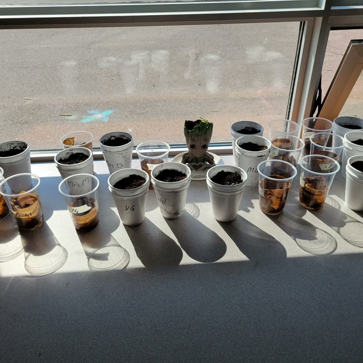 Ingrid Mitchell tweet media