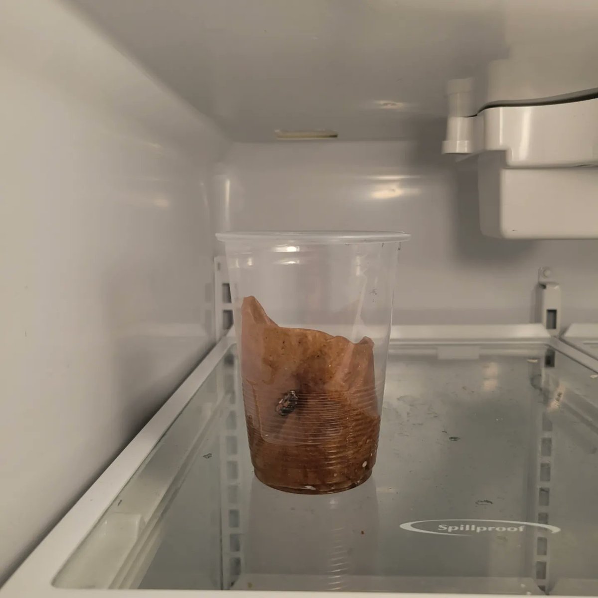 Ingrid Mitchell tweet media