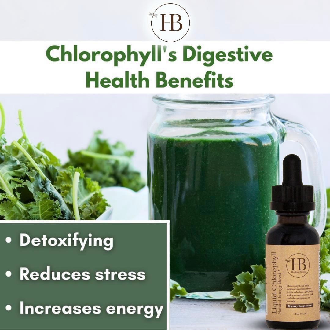 A chlorophyll supplement is great for overall health and wellness, including gut health. Here are just a few of chlorophyll's benefits:⁠

✅ Detoxifying⁠
✅ Reduces stress⁠
✅ Increases energy⁠
Shop our all-natural Liquid Chlorophyll and improve your health today! Send a DM.