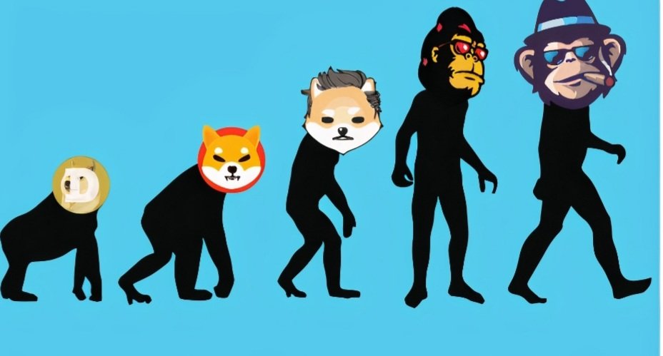 Joe141188's tweet photo. @elonmusk @MonkeysToken https://t.co/UoU5dnpyBZ