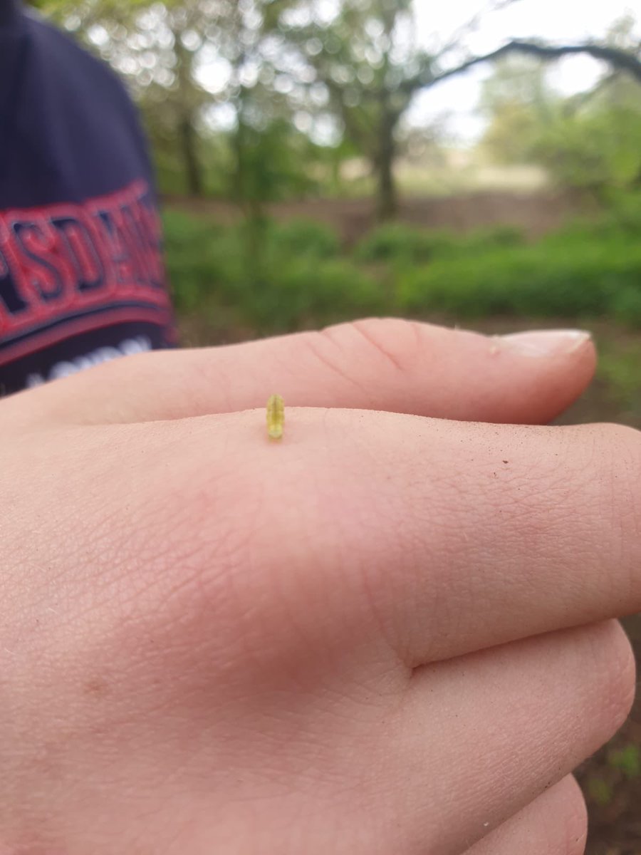 Freeman's Academy tweet media