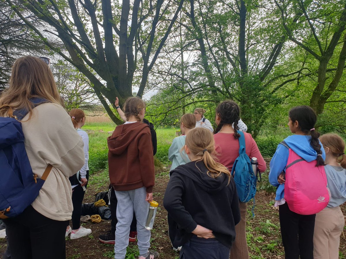 Freeman's Academy tweet media