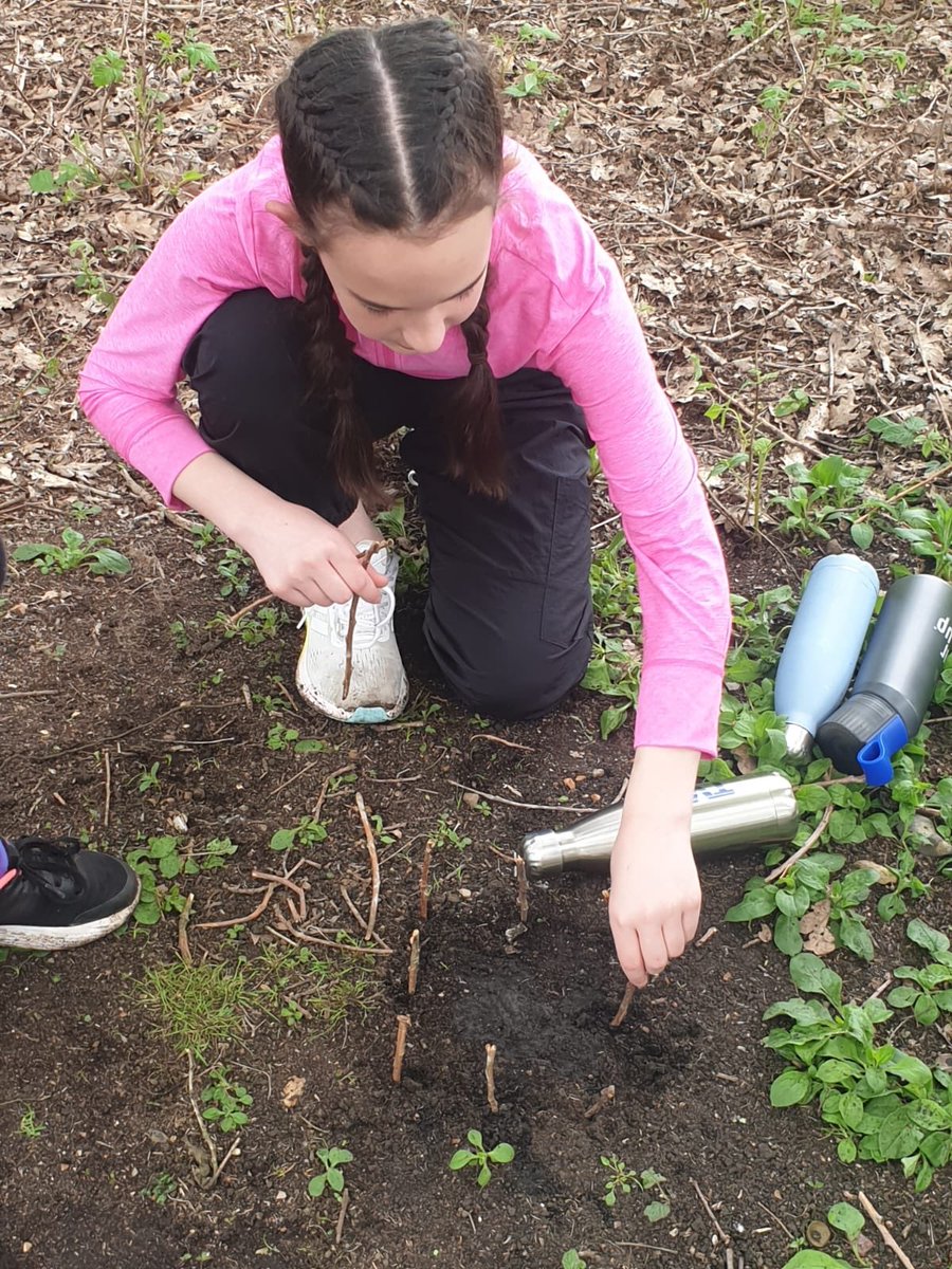 Freeman's Academy tweet media