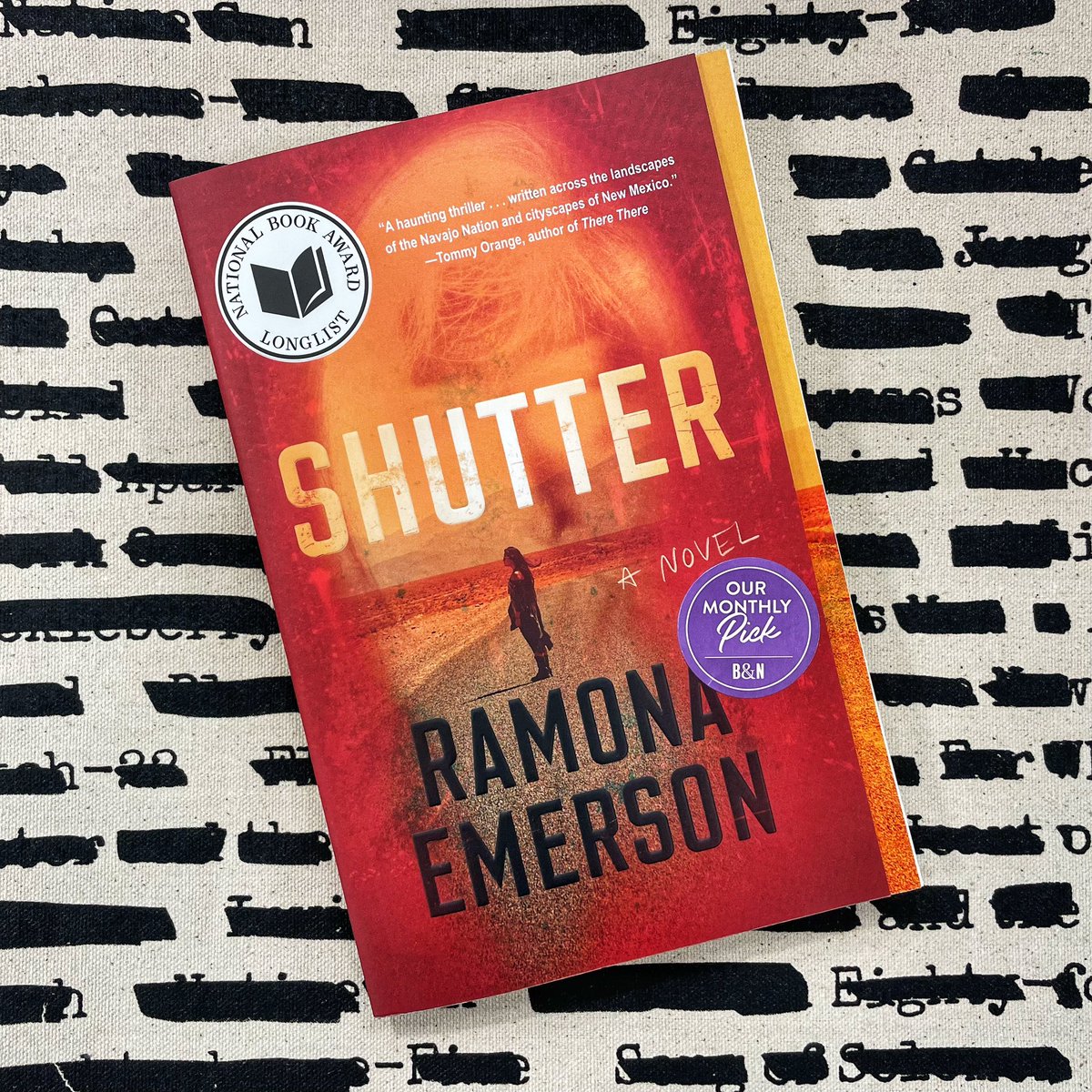 A forensic photographer who can communicate with spirits is sent on a revenge quest when the ghost of a supposed suicide latches onto her. Our May Mystery & Thriller pick, Shutter, is an explosive debut from Dîné writer Romana Emerson.

#BNBuzz #bnbirkdale #BNMonthlyPicks