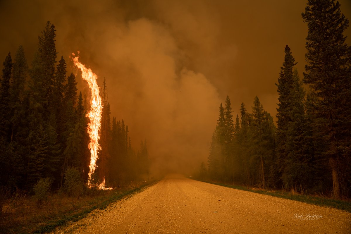 This was a haunting scene, with a single tree on fire.

Northern Alberta. #ABfire #ABfires