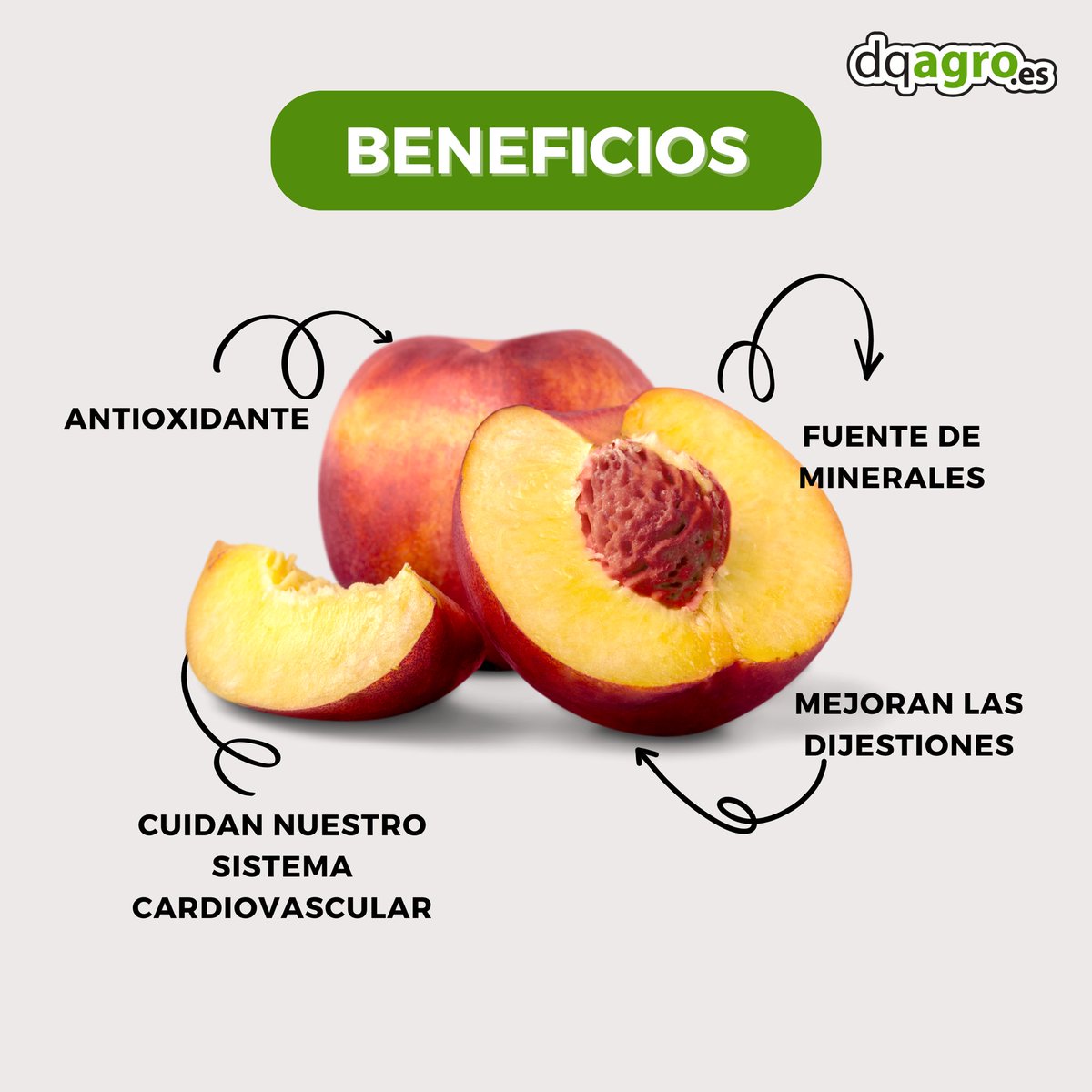 ¡Vaya pintaza tienen nuestras nectarinas! 🤭

Ni qué decir como ✨ saben y huelen ✨ nuestras pequeñas 😋

🌐 dqagro. es
📍La Palma, Cartagena
📞968554545

#agriculturasostenible #medioambiente #sostenibilidad #riegointeligente #agriculturainteligente #datalogger #agricultura