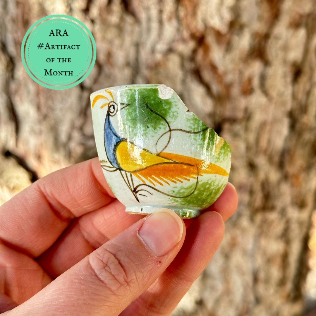 ARA Archaeology tweet media