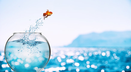 argo_lands's tweet photo. 🐠 Be the fish that dares to explore beyond the confines of the aquarium and dive into the vast sea of opportunities. 🌊

Just like the fish finds freedom and new horizons, investing in Argolands opens doors to sustainable and ethical ventures. 💚

👉https://t.co/YERwZnMdcV https://t.co/2XEv2Ycuif