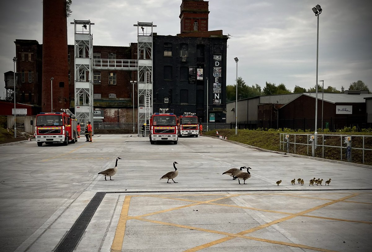 Trainee Firefighters and Trainee Geese in action at <a href="/GMFRS_SC/">GMFRSsafetycentre</a> <a href="/manchesterfire/">Greater Manchester Fire and Rescue Service</a>