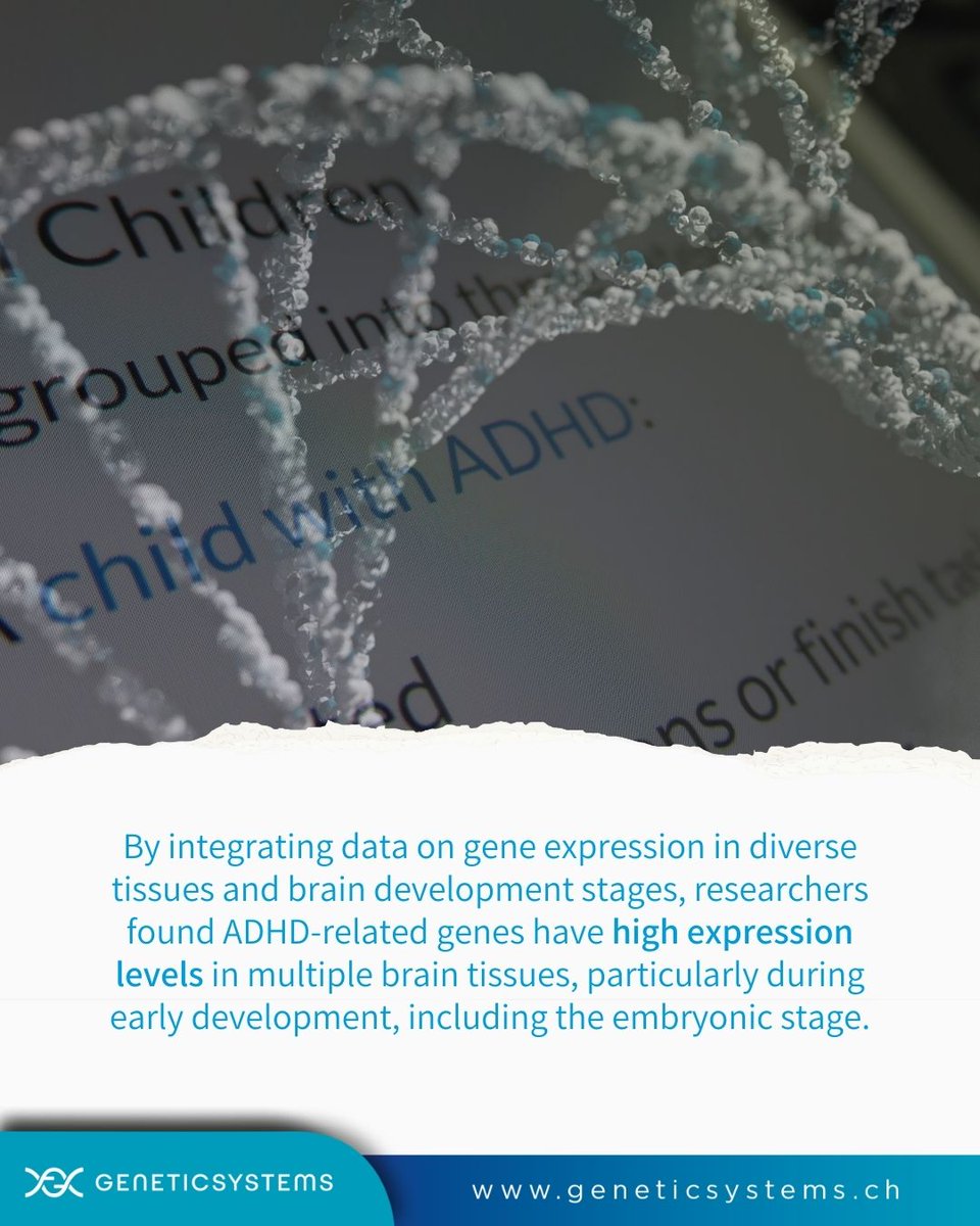 GeneticSystems's tweet photo. Click the images below to explore a carousel of 27 genetic variants linked to ADHD and their impact on mental health.

Share this post with someone who could benefit from this information. 🤝 https://t.co/HtMJaE6ClO