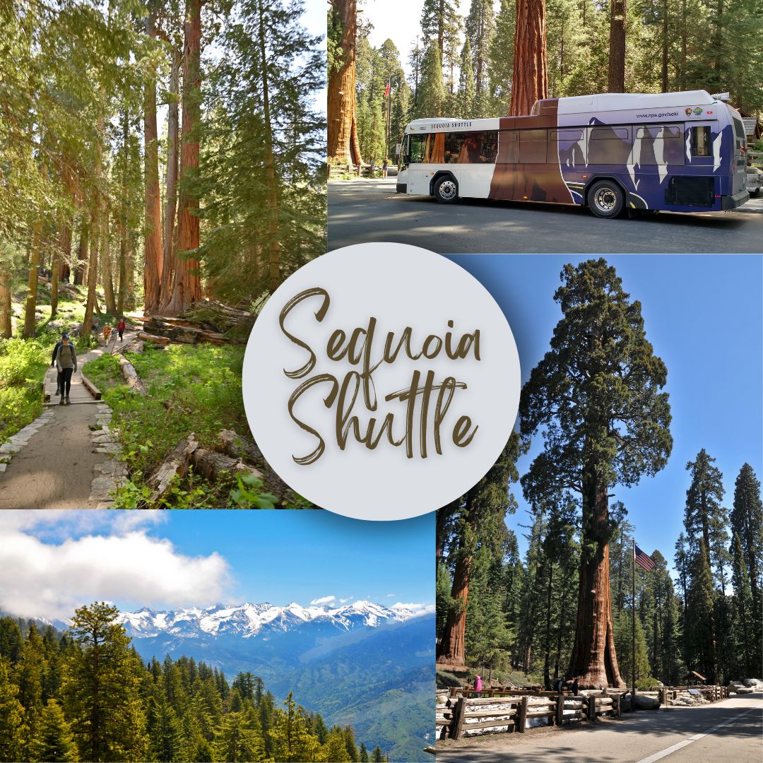 Sequoia Shuttle tweet media