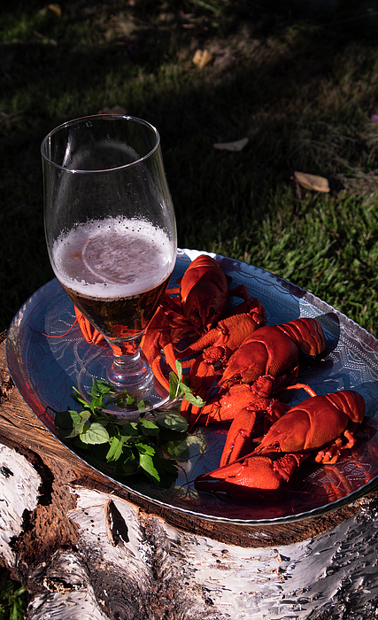 norr08's tweet photo. New artwork for sale! - "Crayfish with beer on a silver plate" - https://t.co/UrDECTCzqQ @fineartamerica https://t.co/gYCgIaiQd4