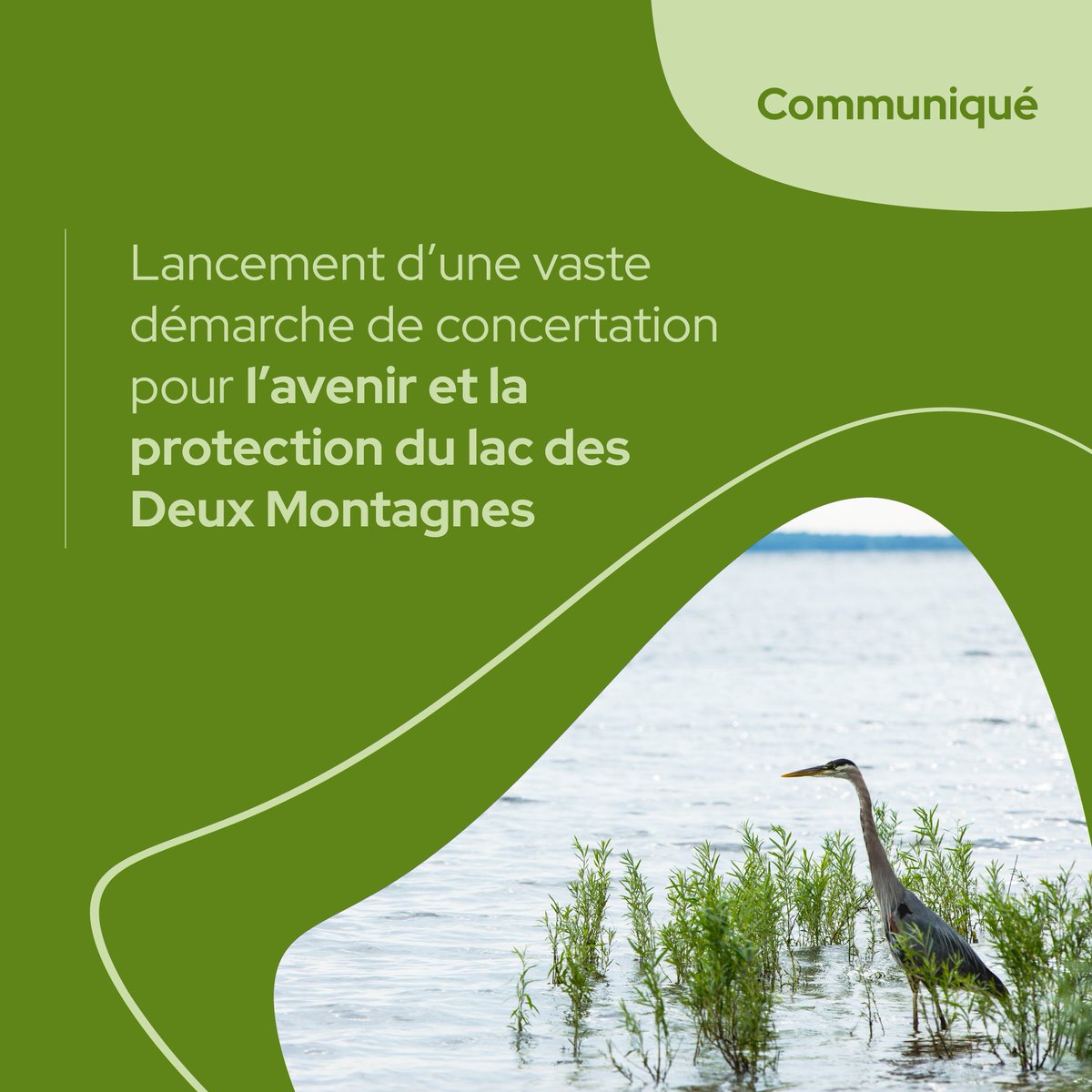 cremtl's tweet photo. #Communiqué | Lancement d’une démarche de concertation pour l’avenir et la protection du lac des Deux Montagnes par les Conseils régionaux de l’environnement @LeCREdeLaval, @CLaurentides, @CREMonteregie et @cremtl.

Lire le communiqué: https://t.co/os0jf9d8xu
Crédits photo: Sépaq https://t.co/QEm7EPQeDh