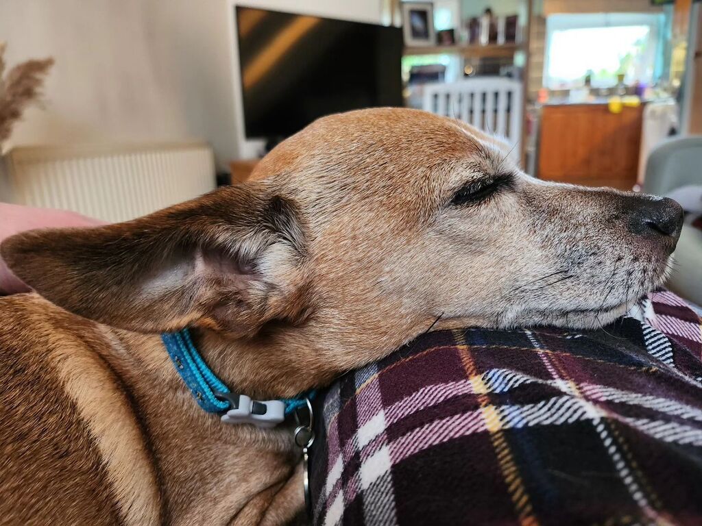 Why the long face instagr.am/p/CsZLBENs4b8/