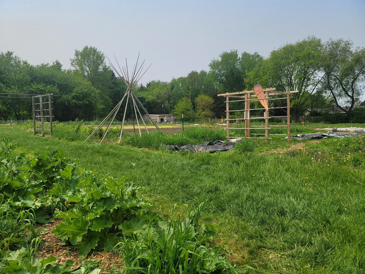 StateRepHong's tweet photo. Today is WI School Garden Day, &amp; I was lucky to spend it serving Burmese lemon-ginger salad at Goodman Youth Farm w/ some great people. 

What a wonderful celebration of our state being a leader in garden-based education! 

Thank you @RootedWI, @REAPMadison, &amp; @MMSDschools. https://t.co/SlQXUHogWd