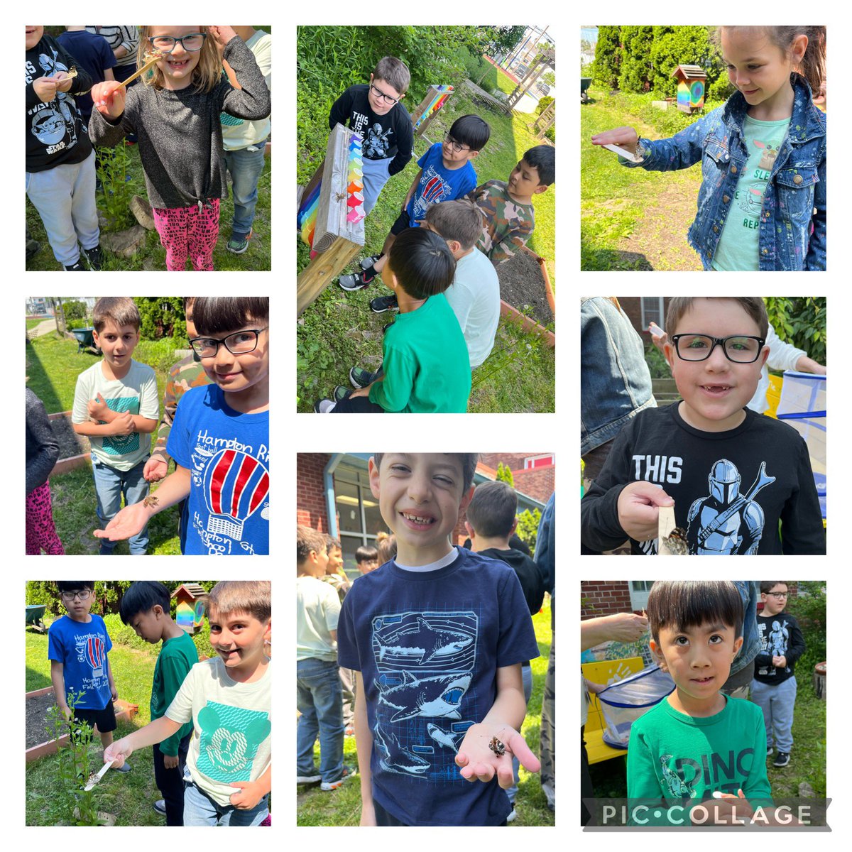Bye-bye butterflies!  🦋 We loved learning about the lifecycle of these beauties! <a href="/Hampton_Street/">Hampton Street</a> <a href="/MineolaUFSD/">Mineola UFSD</a>