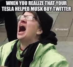 What can I do to motivate a sane billionaire to buy Tesla Inc., so that I won't be terribly ashamed to drive it?  🤤
