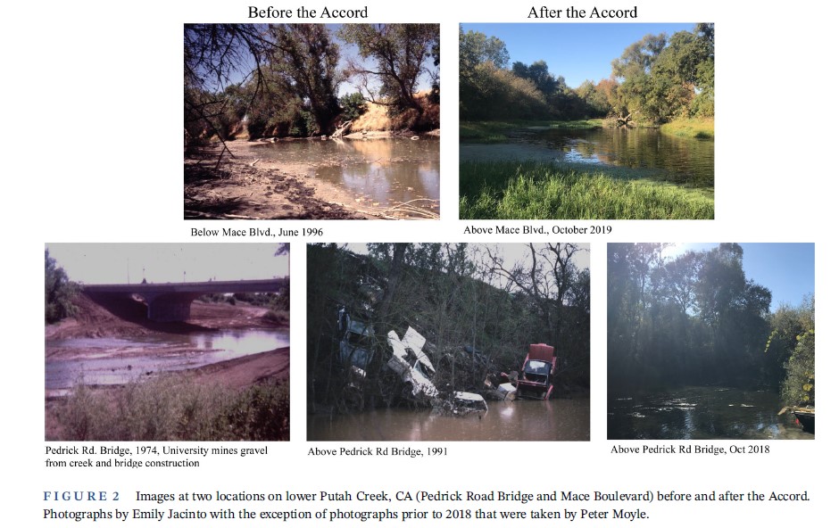 andrewrypel's tweet photo. Congrats to @PSalmonEm1 on publication of her MS work in @ESAApplications! 

https://t.co/8OxK02MVpr

Emily studied the reanimation of the Putah Creek fish community following flow rehabilitation #fishsci #conservation #communityecology https://t.co/a9feH3rHnD