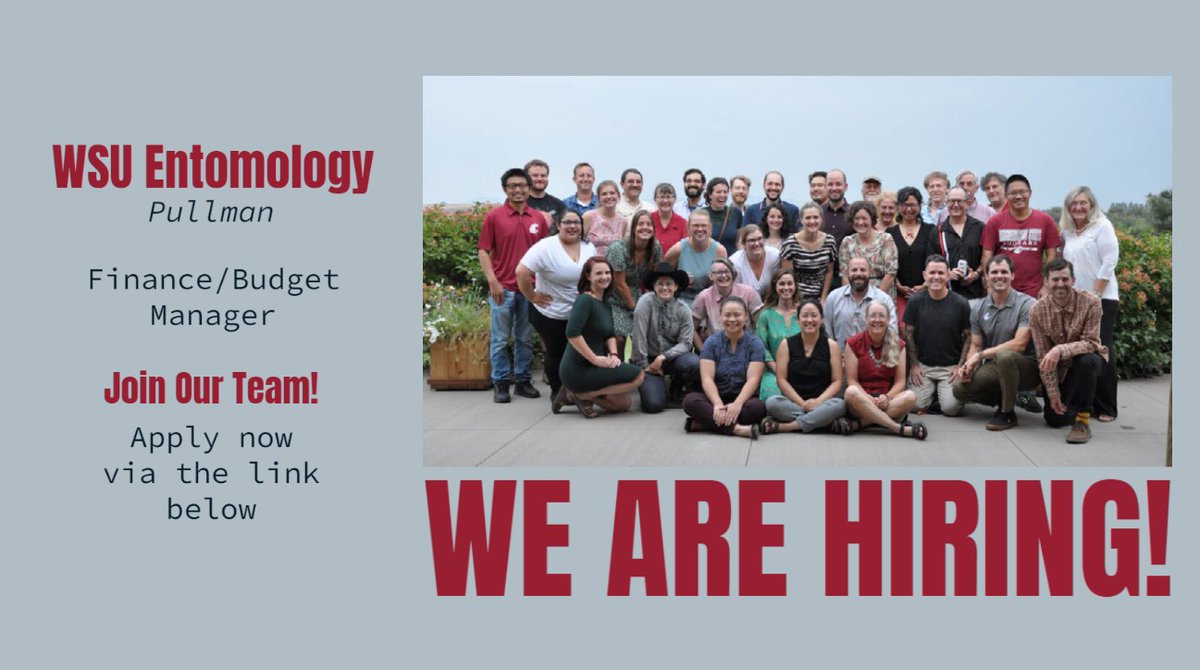 WSU Entomology (@wsuentomology) on Twitter photo <a href="/WSUEntomology/">WSU Entomology</a> is currently hiring for a Full Time Finance/Budget Manager for our Pullman, Washington Office! If you are interested in applying go to the link below to further read into the jobs description! #GoCougs #WSU #CAHNRS
wd5.myworkday.com/wsu/d/faceted-… <a href="/WSUEntomology/">WSU Entomology</a> is currently hiring for a Full Time Finance/Budget Manager for our Pullman, Washington Office! If you are interested in applying go to the link below to further read into the jobs description! #GoCougs #WSU #CAHNRS
wd5.myworkday.com/wsu/d/faceted-…