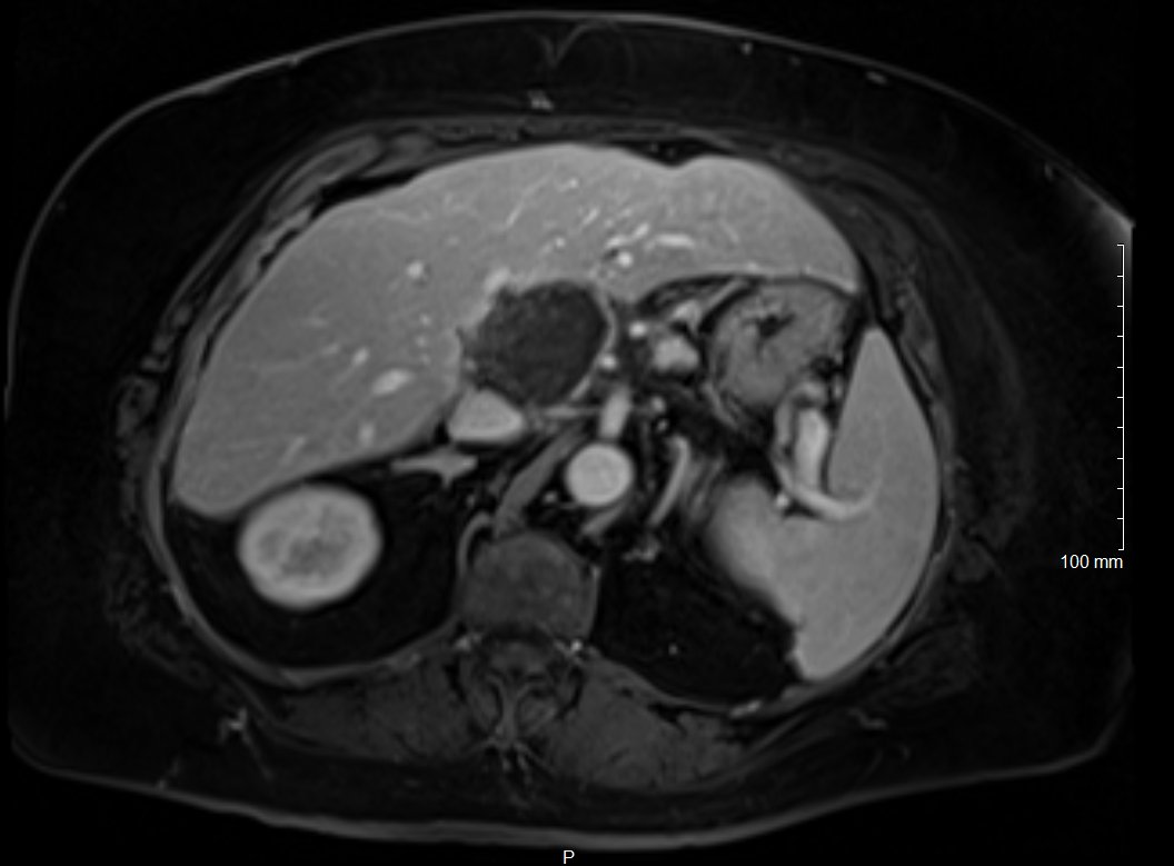 Sabeen Dhand tweet media