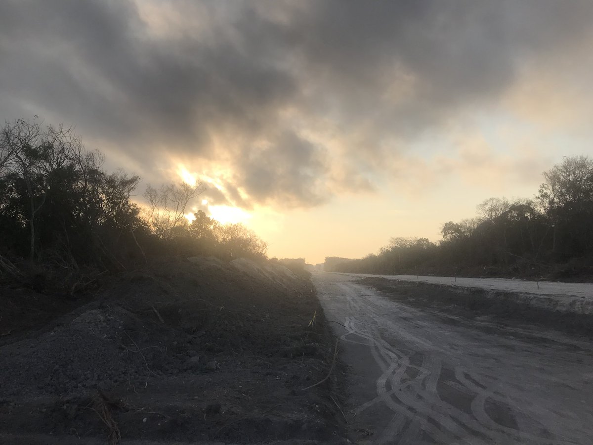 don_vale's tweet photo. @TabascoJavier @TrenMayaMX Gracias por destruir nuestra selva patrimonio de todos los mexicanos por el beneficio de unos cuantos, fotos tomadas hace 1 mes https://t.co/RAeFYGvKaK