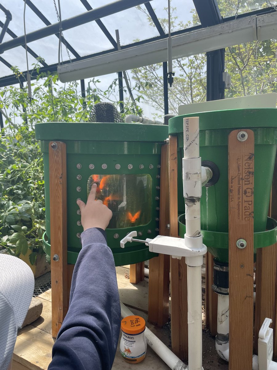 SpurrellAmy's tweet photo. What a fun trip for the gr 3 students from @StTimothyHCDSB to visit the greenhouse @NotreDameHCDSB &amp; experience hands on STEAM activities. A special thanks to @coleiroscience , the STEAM club &amp; the Horticulture SHSM students. @HCDSB @hcdsbsteam https://t.co/eGdRVSEtSv