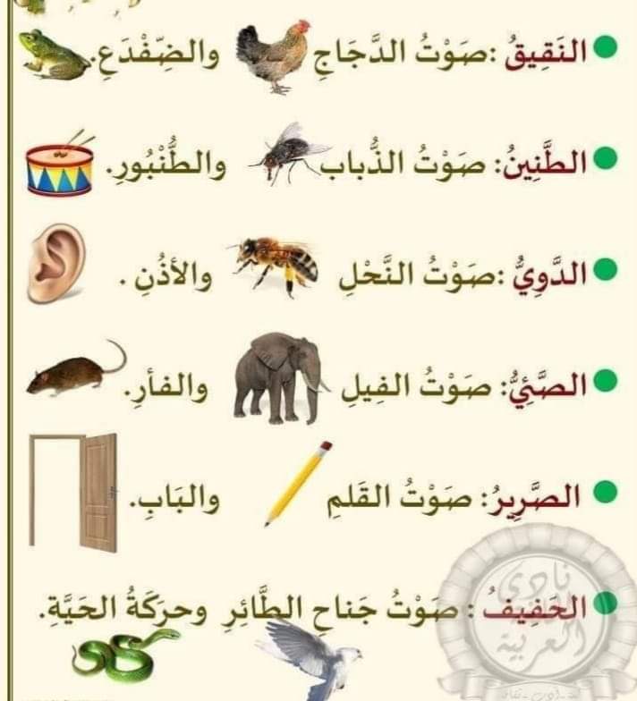mhabkf's tweet photo. https://t.co/T6tOEQ17nl