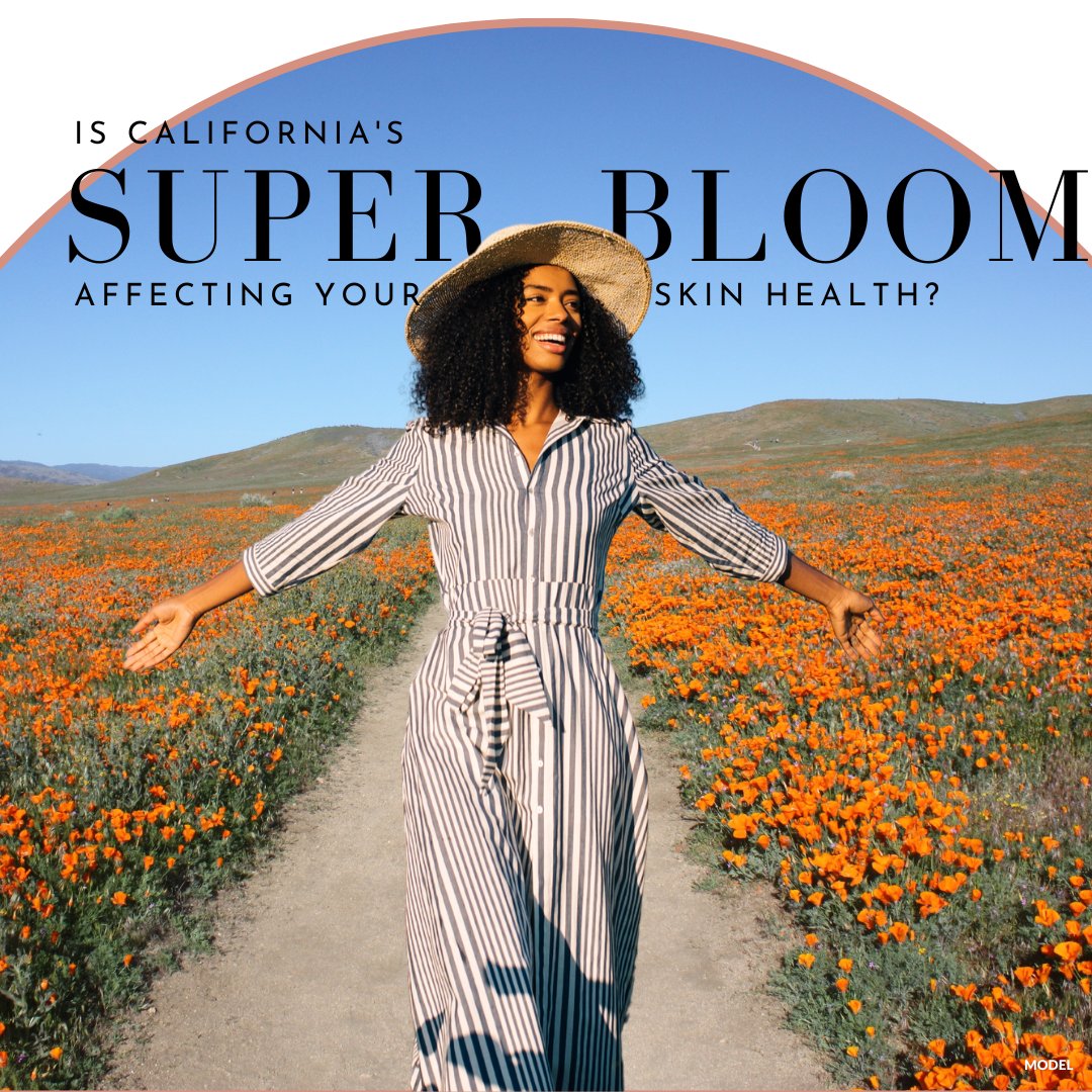CSIskinexperts's tweet photo. California's hills are alive with color! 🌼🌸🌷

The superbloom is a beautiful sight to behold, but it also comes with an increase of pollen, mosquitoes, and poison oak. If you need help managing a flare-up of allergies or rash, request an appointment: https://t.co/n7nHjmn7Tx https://t.co/biO0SxNN17