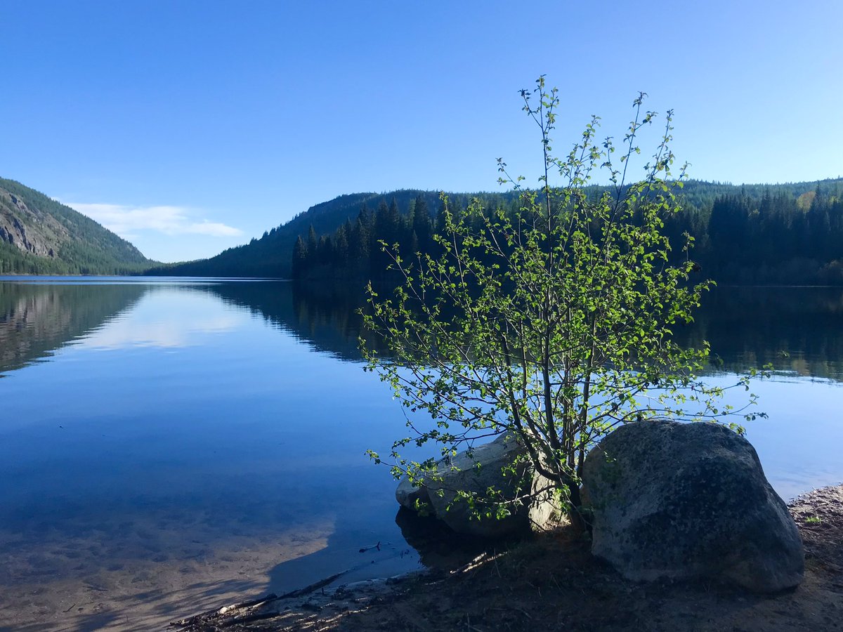 artbybiancaa's tweet photo. So nice that I live in the same area as a beautiful lake. I'm happy to say, it's my little get away from home but not too far away ☀️💙🦋🌊😁
#Concklelake #rockcreekbc #osoyoos #provincialpark #lakephoto #Peaceful #thursdaymood #puppyphoto https://t.co/CtbjlylaN7
