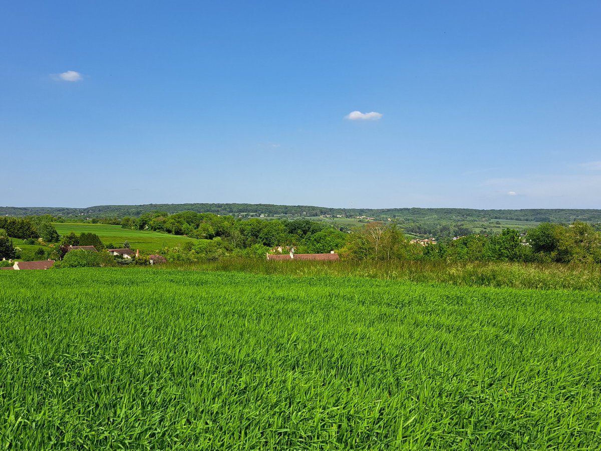 #paysage #landscape des #Yvelines 
#MagnifiqueFrance #BaladeSympa