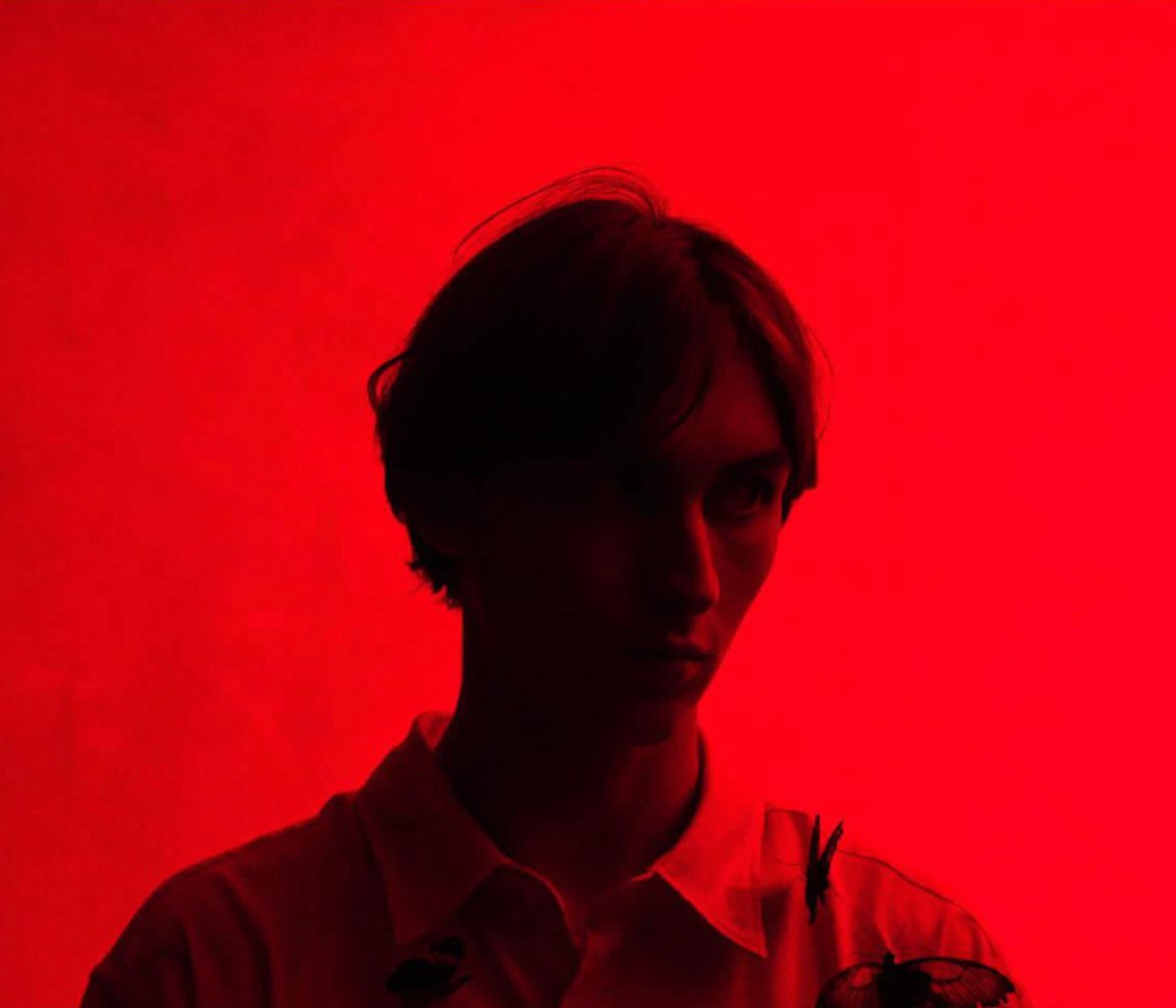 Dan Digs tweet media