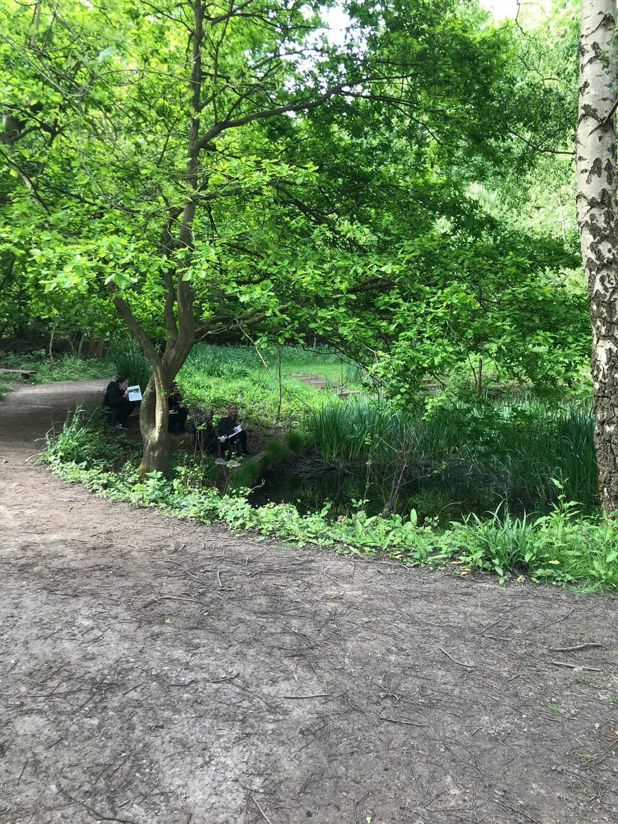 BecketkeysSci's tweet photo. More pictures from the Y12 Biology field trip @fsceppingforest https://t.co/Vq9E2lkJ4B