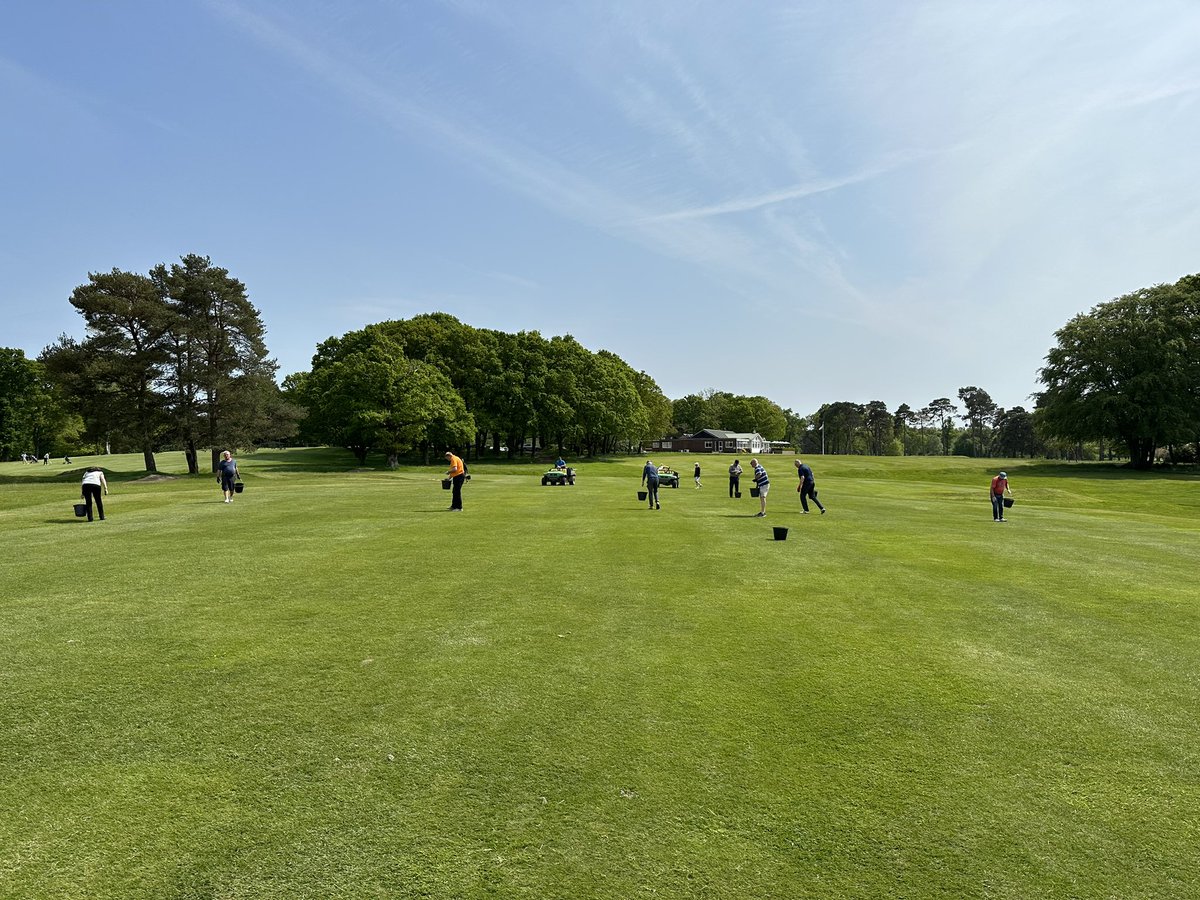 Brokenhurst Golf Pro Shop tweet media