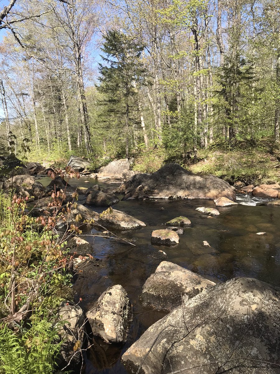 Emily Arsenault tweet media