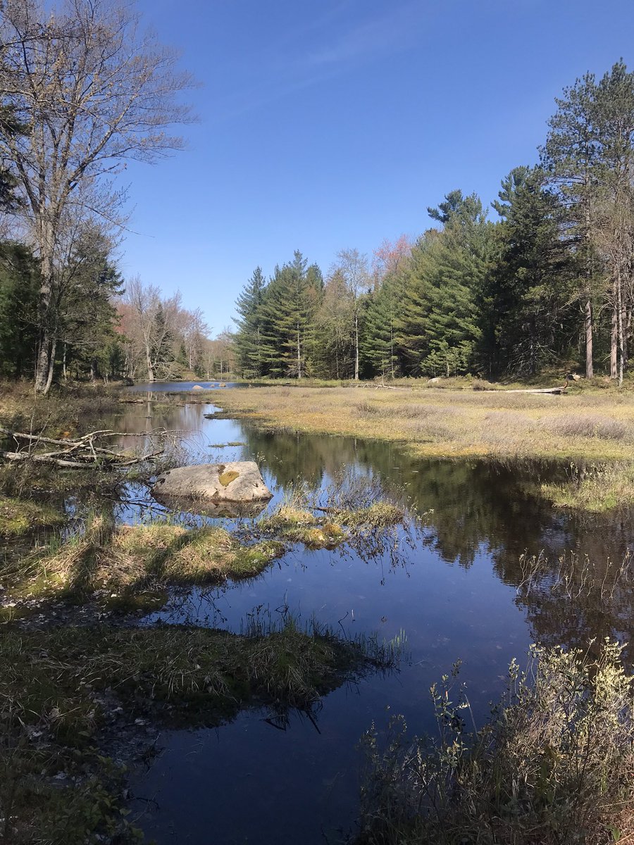 Emily Arsenault tweet media