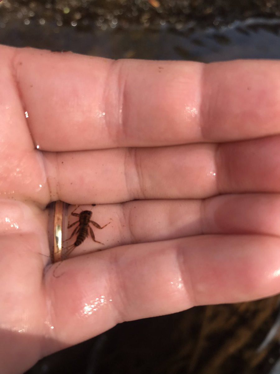 Emily Arsenault tweet media