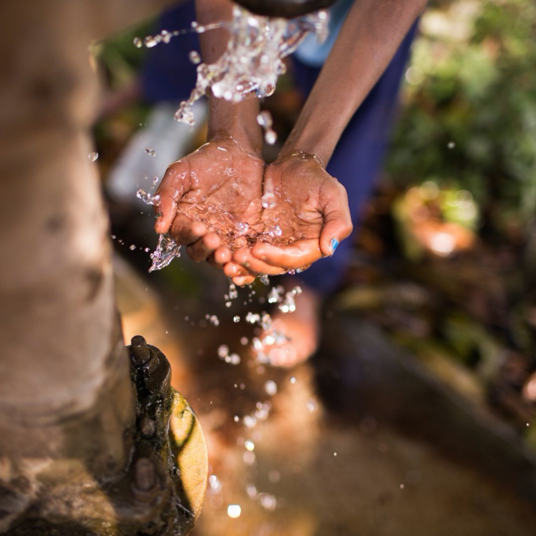 gudphoria's tweet photo. (1/2) At GÜDPHORIA, we envision a future in which all humans can breathe unpolluted air, and access nutritious food and clean drinking water through hemp based solutions. 
#pollution #climatecrisis #GÜDPHORIA https://t.co/gDfELaDhH3
