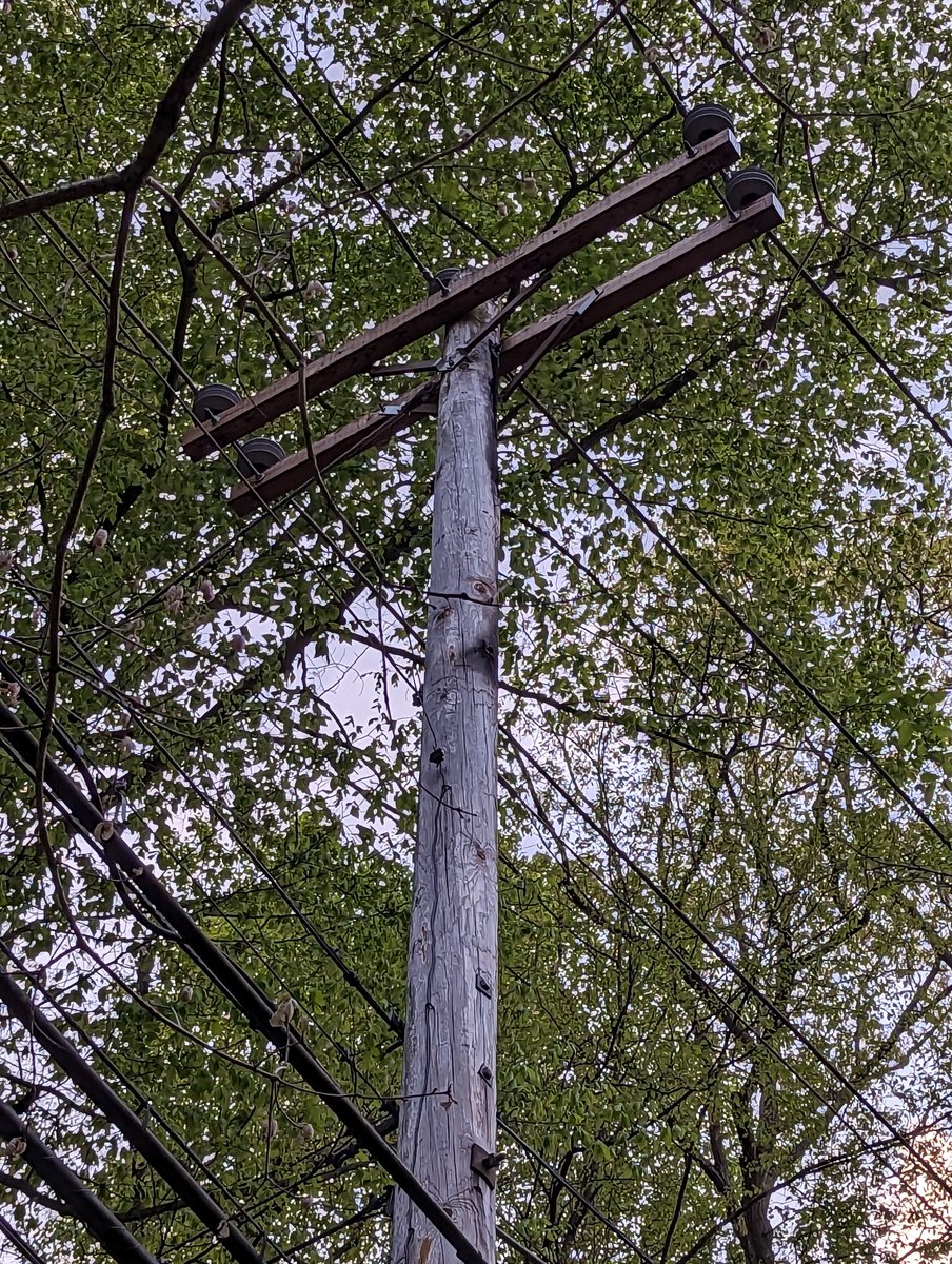 douce_pa's tweet image. Hey @verizon, is this how you clean up after repairing one of your poles?!?😡
Can you send someone to properly dispose of this?