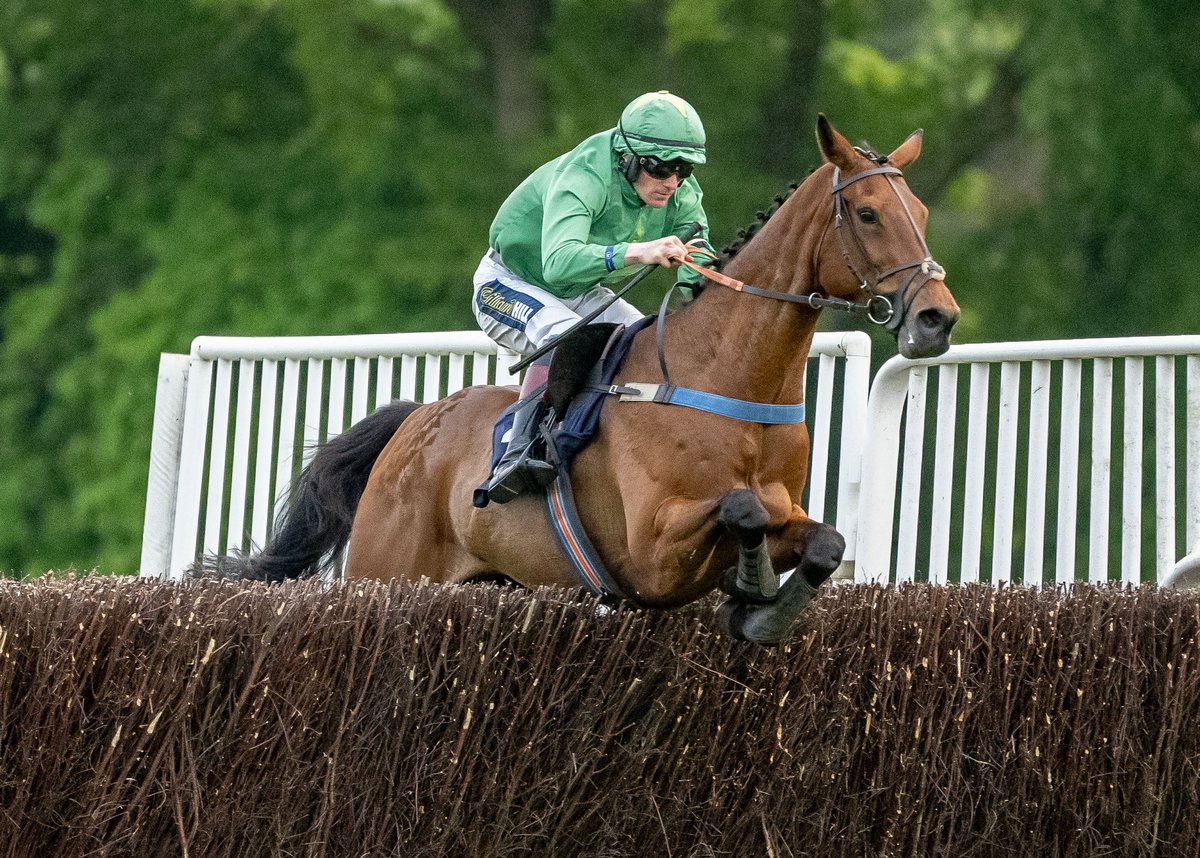 Fontwell Park (@fontwellpark) on Twitter photo RACE 6 RESULT - The Free Tips Daily On attheraces.com Handicap Steeple Chase
๐ฅ Post No Bills
๐ฅ Pleasure Garden
๐ฅ Millies Mite
Jockey: <a href="/samtwiston/">Sam Twiston-Davies</a>
Trainer: Ryan Potter
Owner: Pyne Swinburne Partnership
๐ธ <a href="/dcoolimages/">Darren Cool Images</a> RACE 6 RESULT - The Free Tips Daily On attheraces.com Handicap Steeple Chase
๐ฅ Post No Bills
๐ฅ Pleasure Garden
๐ฅ Millies Mite
Jockey: <a href="/samtwiston/">Sam Twiston-Davies</a>
Trainer: Ryan Potter
Owner: Pyne Swinburne Partnership
๐ธ <a href="/dcoolimages/">Darren Cool Images</a>